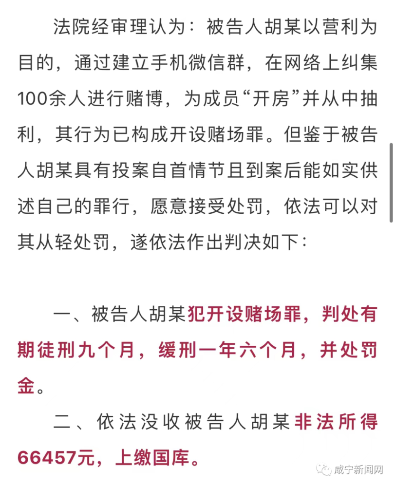 新澳门资料免费长期公开,新澳门资料免费长期公开，违法犯罪问题的探讨