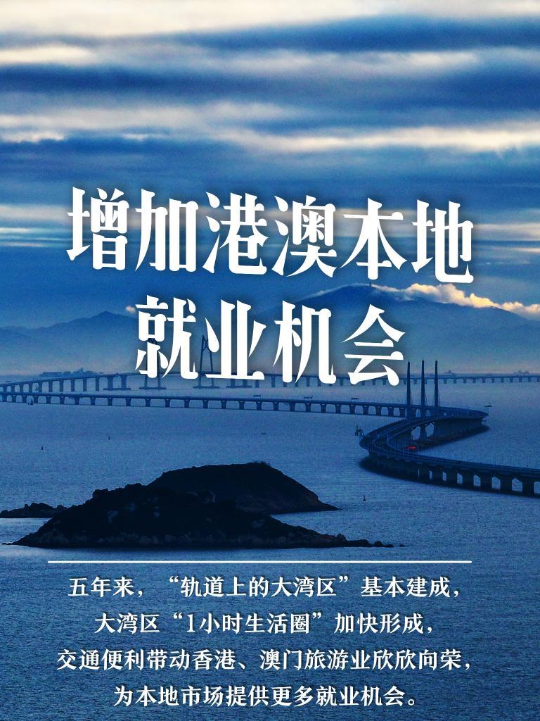 新澳门4949正版大全,警惕新澳门4949正版大全背后的犯罪风险