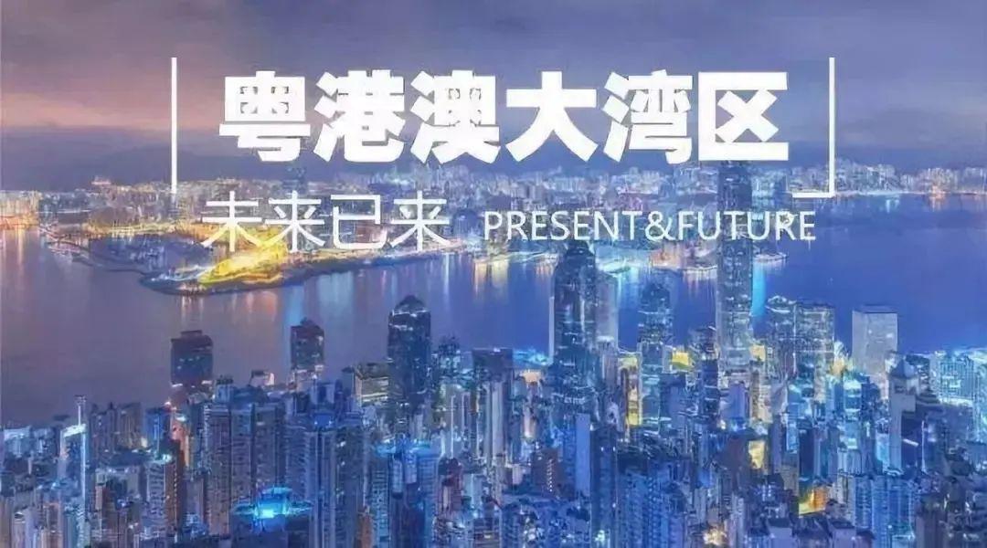 2024港澳免费资料,探索港澳未来，免费资料的机遇与挑战（2024年展望）