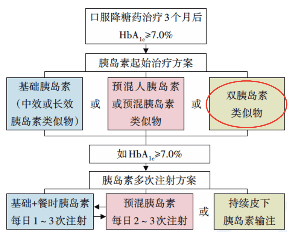 新澳资料免费最新,新澳资料免费最新，探索与获取信息的指南