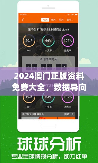 2024年新澳门王中王免费,关于澳门王中王免费的文章