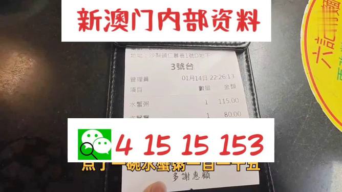 澳门内部正版资料大全,澳门内部正版资料大全，揭示违法犯罪问题的重要性