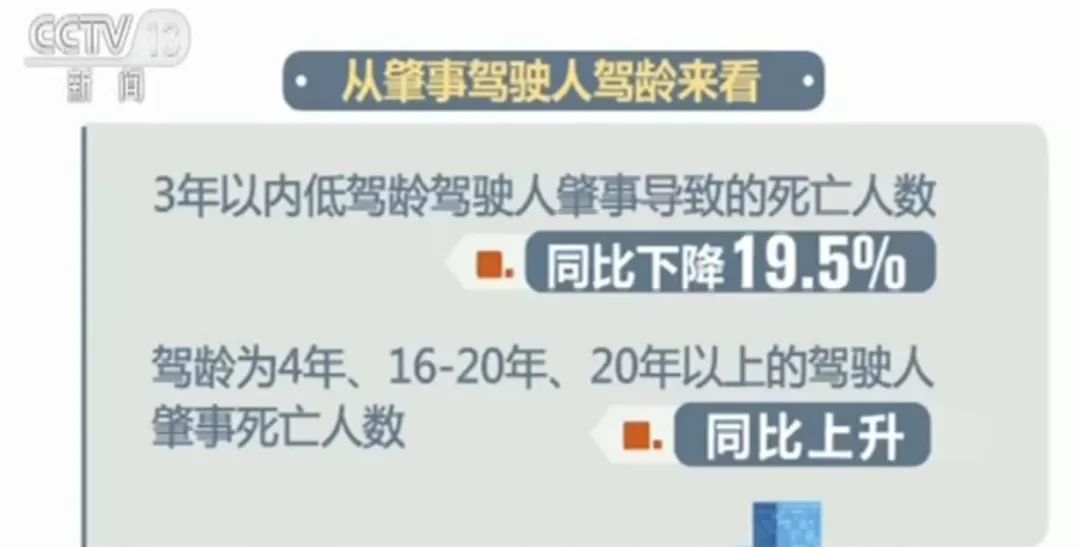 新奥门特免费资料大全今天的图片,警惕网络陷阱，新澳门特免费资料大全背后的风险与挑战