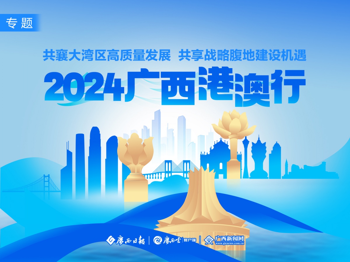 2024澳门正版免费精准大全,关于澳门正版免费精准大全的探讨与警示