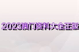 新澳门资料大全正版资料2023,新澳门资料大全正版资料2023——警惕背后的风险与挑战