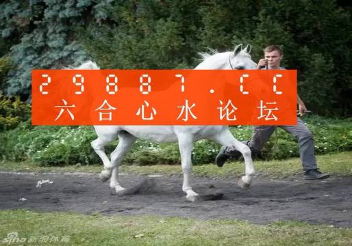 7777788888精准跑狗图,揭秘精准跑狗图，探索神秘的数字组合世界中的77777与88888