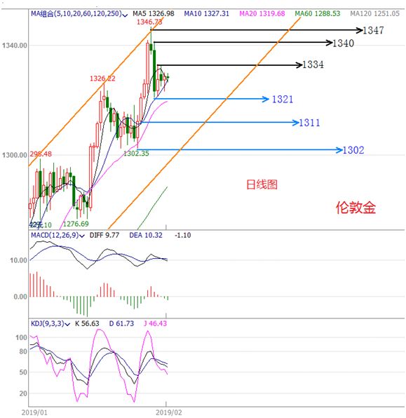 2024澳门今晚开特马开什么,澳门今晚特马开彩分析与预测，探寻未来的幸运数字