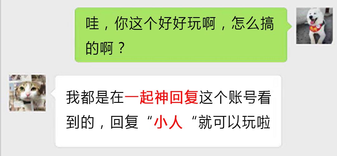 新门内部资料正版公开,新门内部资料正版公开，探索真实与信任的交汇点